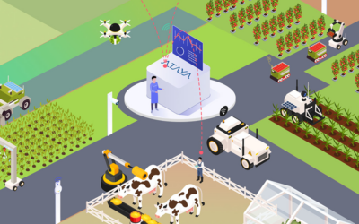 Chorus: Simplifying 5G for Small-Scale Deployments