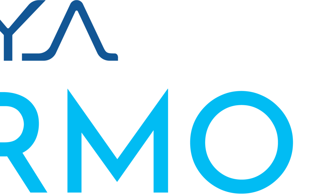 Unifying Connectivity & Security