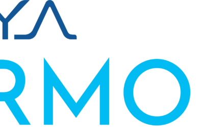 Unifying Connectivity & Security